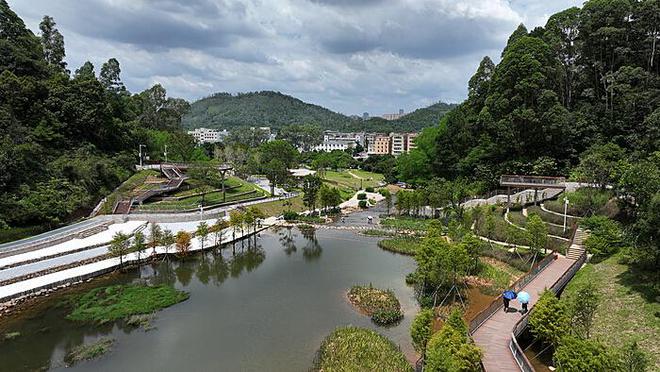 2024金鸡百花电影节：光影盛宴，璀璨启幕